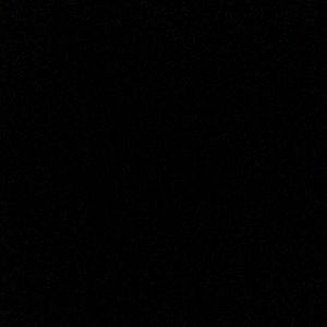 Meet your Posher, Rosie